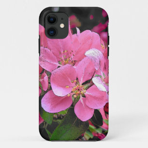 title_seo2 Flor de flores de manzana de cangrejo de primavera