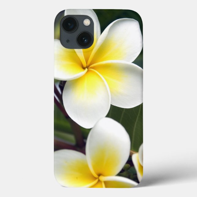 Funda De Case-Mate Para iPhone Flor de frangipani Islas Cook (Reverso)