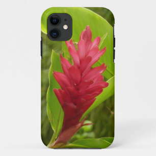 Funda Para iPhone 11 Flor de jengibre rojo (Alpinia) Tropical