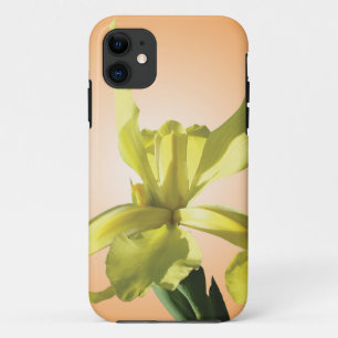 Funda Para iPhone 11 flor de lirio amarillo sobre fondo amarillo.