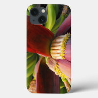 Flor de Plátano