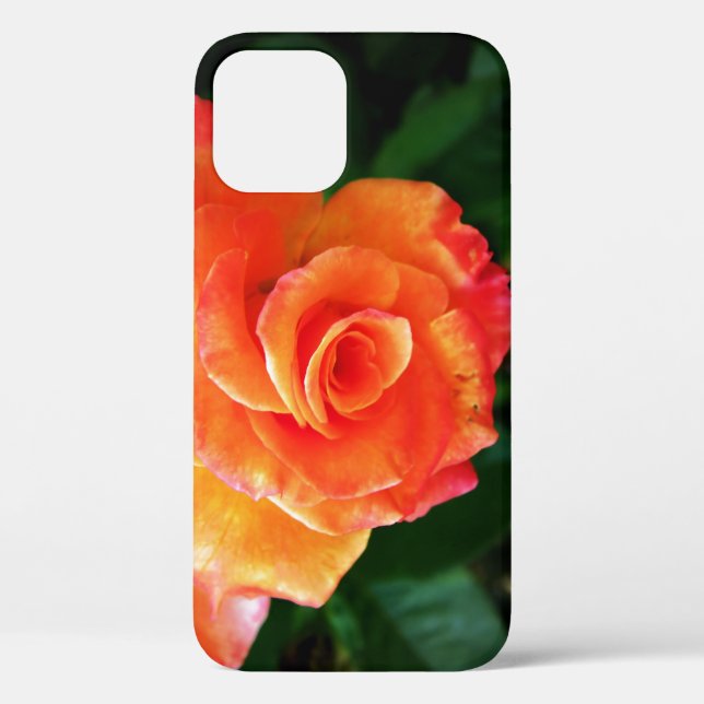 Funda De Case-Mate Para iPhone Flor de rosa naranja (Reverso )