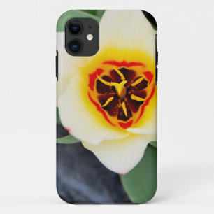 Funda Para iPhone 11 Flor de tulipán