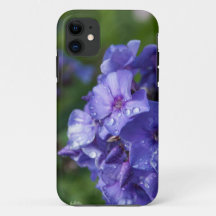 flor púrpura con el rocío de la mañana