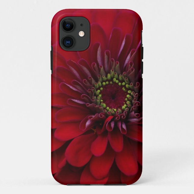 Funda De Case-Mate Para iPhone Flor roja hermosa del Zinnia del jardín (Reverso)