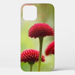 Funda Para iPhone 12 Flor-rojo-verano-primer plano-primavera-