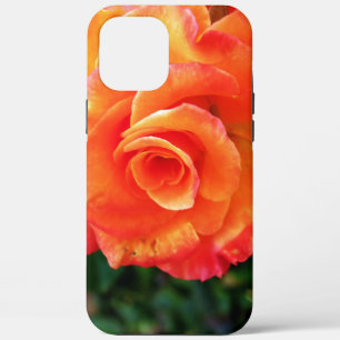 title_seo2 flor rosa naranja