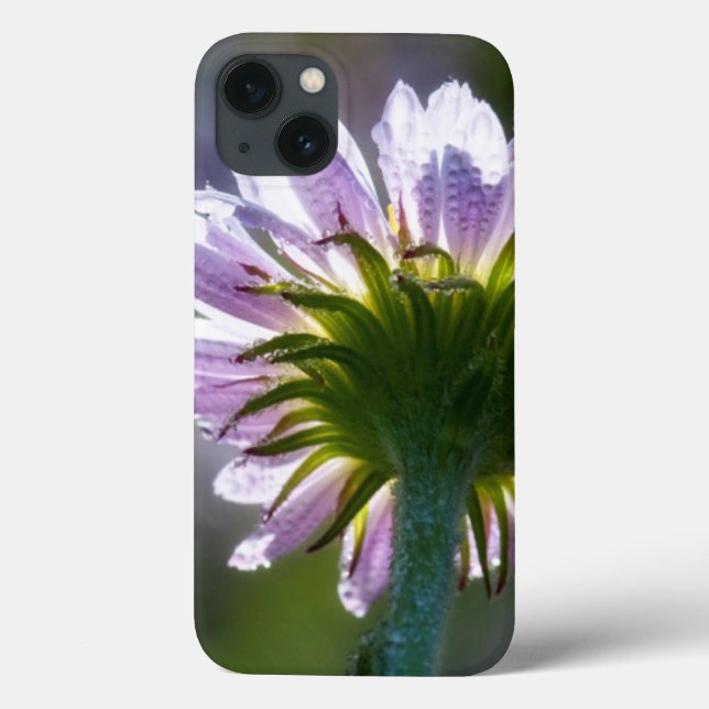 Funda De Case-Mate Para iPhone Flor silvestre púrpura iluminada con fondo (Reverso)