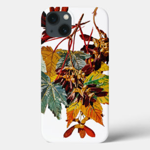 Funda Para iPhone 13 Flora exótica número 3 en Sunshine Dazzle