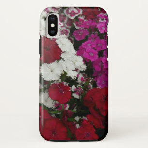 title_seo2 Floral blanca, rosa y roja de Dianthus