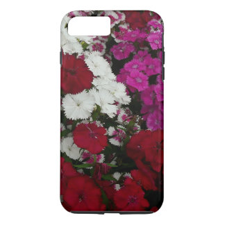title_seo2 Floral blanca, rosa y roja de Dianthus