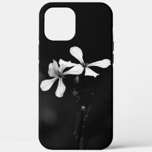 title_seo2 floral blanca y negra mínima