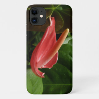 Funda Para iPhone 11 Floral de Calla Rosa Lily Elegant