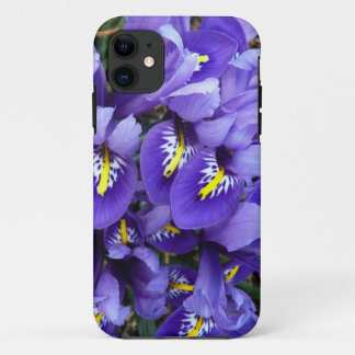 title_seo2 Floral de primavera de irlandeses azules en miniat