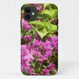 title_seo2 Floral Tropical Morada Bougainvillea