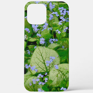 TITLE_SEO2 FLORALES/CLUSTERS DE LAS FLORES AZULES DAINTY PERI