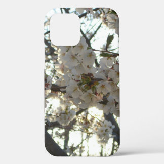 Funda Para iPhone 12 Florecimiento de cerezo por la noche II Puesta de