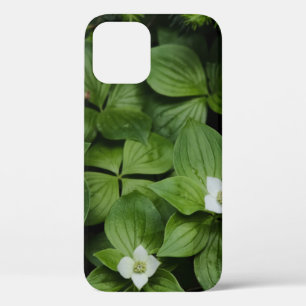 FUNDA PARA iPhone 12 FLORES BLANCOS CON HOJAS VERDES