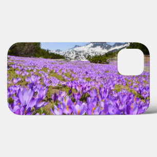 Funda Para iPhone 13 Flores Crocus Pirin Mountain Park Bulgaria