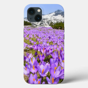 Funda Para iPhone 13 Flores Crocus Pirin Mountain Park Bulgaria
