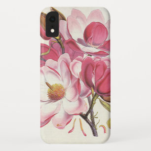 title_seo2 Flores de árbol de magnolia de época, flores de ja