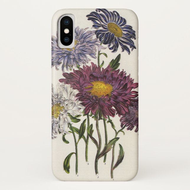 Funda De Case-Mate Para iPhone Flores de Aster Púrpura Antiguas (Reverso)
