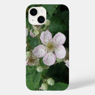 title_seo2 Flores de Blackberry