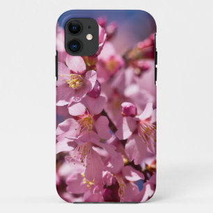 Funda Para iPhone 11 Flores de Cerezo Sakura Besadas por la Luz del Sol