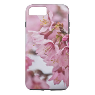 title_seo2 Flores de cerezo Sakura Rosa Pálido