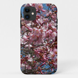 title_seo2 Flores de cerezo y flor de Blue Sky Spring