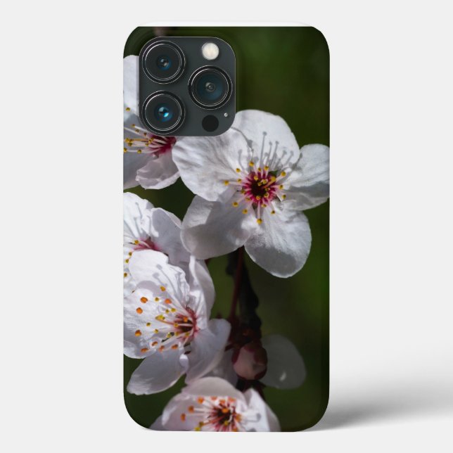 Funda De Case-Mate Para iPhone Flores de ciruela de primavera para teléfonos (Reverso )