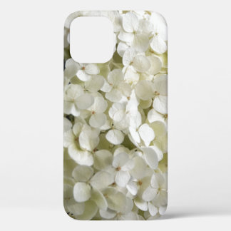 title_seo2 Flores de hidrangea blanca