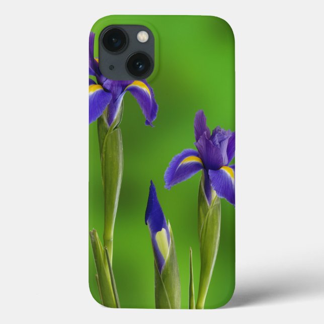 Funda De Case-Mate Para iPhone Flores de iris (Reverso)