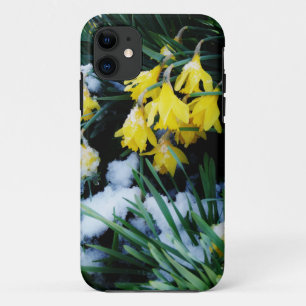 title_seo2 Flores de los Daffodils amarillos en la nieve