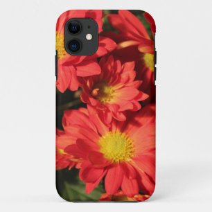 Funda Para iPhone 11 Flores de margarita de color dorado y naranja.