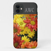 flores de margarita rojas, amarillas y naranjas, m