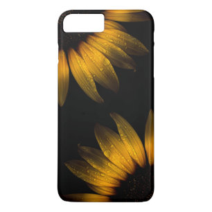 title_seo2 Flores de patio trasero 28 girasol