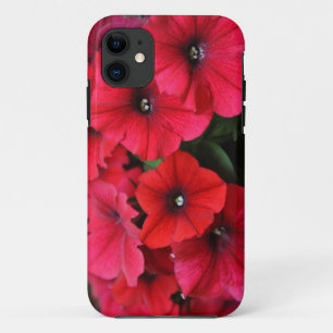 title_seo2 Flores de petunia rojas