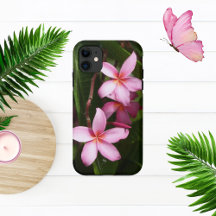 Flores de Plumeria Rosa