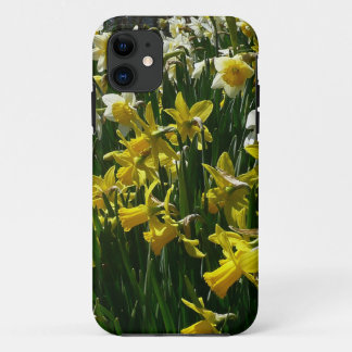 title_seo2 Flores de primavera de los Daffodils amarillos y b