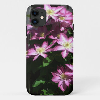title_seo2 Flores de primavera púrpura Clematis en escalada