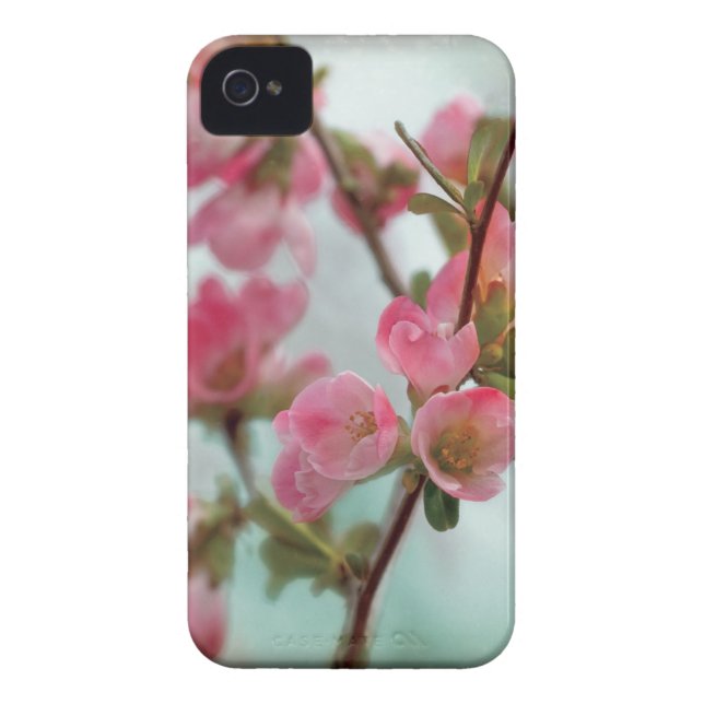 Funda De Case-Mate Para iPhone Flores del membrillo (Atrás)