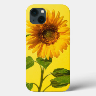 Funda Para iPhone 13 Flores   Girasol amarillo