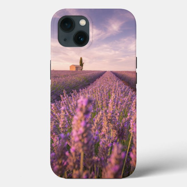 Funda De Case-Mate Para iPhone Flores | Lavender Southern France (Reverso )