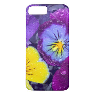 title_seo2 Flores pansy flotando en el baño de pájaros con 