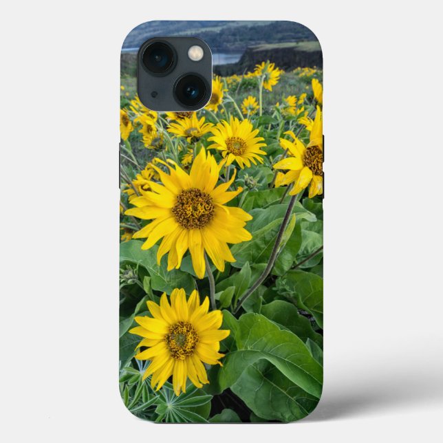 Funda De Case-Mate Para iPhone Flores | Río Columbia Balsomroot, Oregón (Reverso )