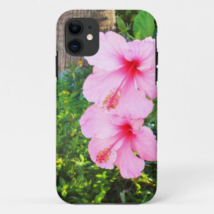 title_seo2 Flores rosadas de Hibiscus
