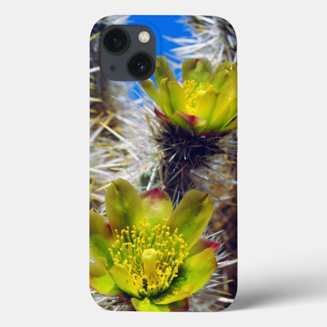 Funda De Case-Mate Para iPhone Flores silvestres de cactus Cholla de plata (Reverso)
