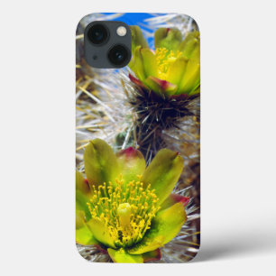 Funda Para iPhone 13 Flores silvestres de cactus Cholla de plata