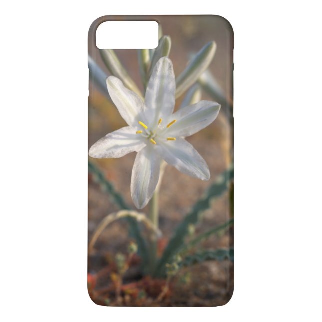 Funda De Case-Mate Para iPhone Flores silvestres de lirio del desierto (Reverso)